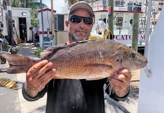Waylan with a big mangrove snapper he caught on the Catch My Drift.
