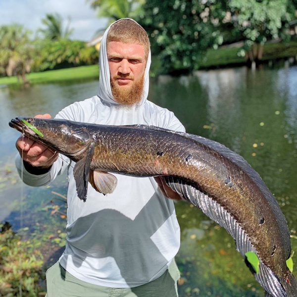 Chris Loft aka @fishkeeperchris enticed this slob of a snakehead with a Topwater frog.