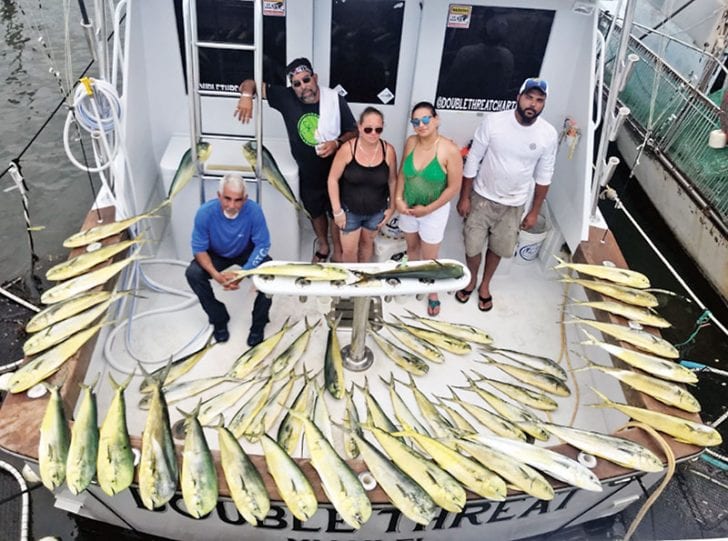 Now that’s a boat load of dolphin!