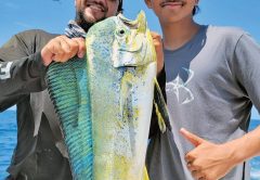 Nice eating size dolphin caught with Fishing Headquarters.