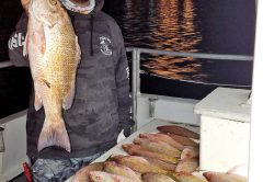Night trips aboard the Catch My Drift produce some quality snappers!