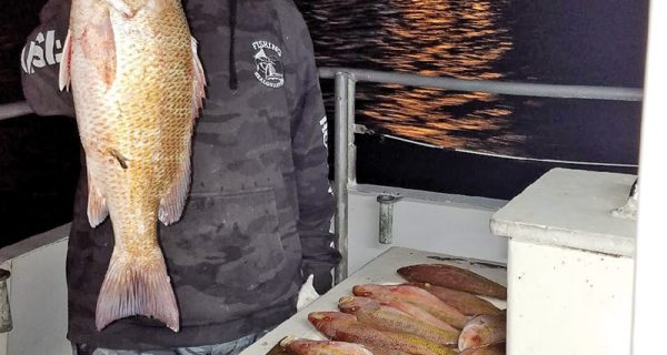 Night trips aboard the Catch My Drift produce some quality snappers!
