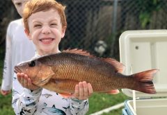 This mangrove snapper put a big smile on 5 year old Shane Prieto’s face.