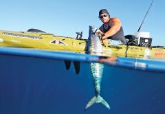 Joe Hector slayed this smoker from his kayak off Pompano Beach.