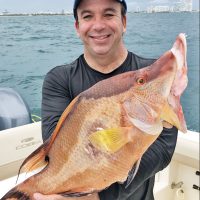 Loyal reader Jorge Millares shot this hogfish while spearfishing in 30 feet of water.