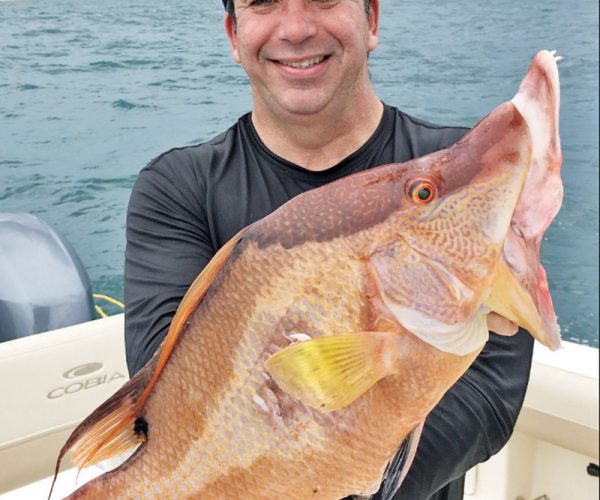 Loyal reader Jorge Millares shot this hogfish while spearfishing in 30 feet of water.