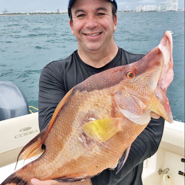 Loyal reader Jorge Millares shot this hogfish while spearfishing in 30 feet of water.