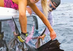 Capt. Mark DiDario of Father and Son Sportfishing put Allison Renn from Jacksonville on her first sailfish.