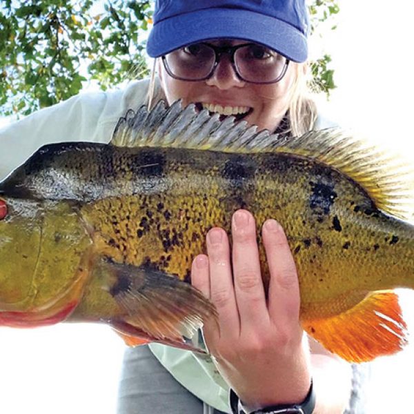 Kylie Calnan @scallywagkylie caught this Davie peacock on a live night crawler.