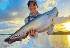 Capt. Johnny with a solid clown knifefish caught on a freshly netted live shad.