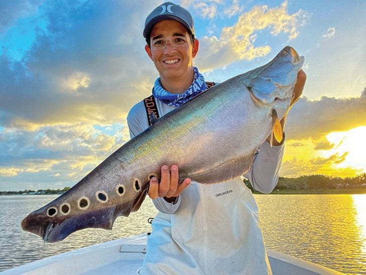 Capt. Johnny with a solid clown knifefish caught on a freshly netted live shad.