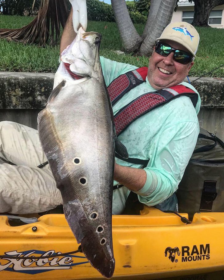 Kaz with a stud clown knifefish.