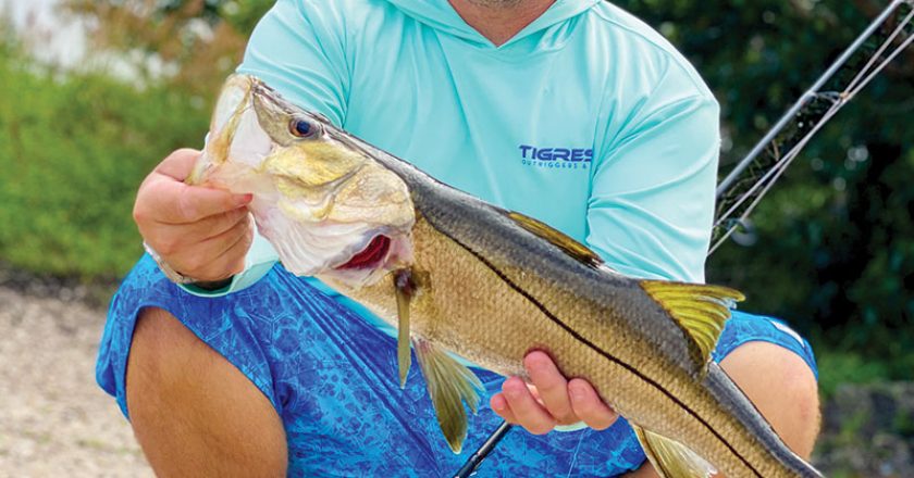 Capt. Mark DiDario with a snook caught on the freshwater side of a local spillway.