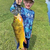 Six year old Michael Stevens scored a stud peacock bass on a live shiner.