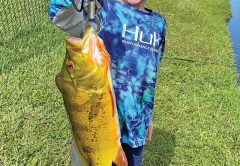 Six year old Michael Stevens scored a stud peacock bass on a live shiner.