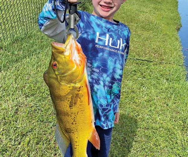 Six year old Michael Stevens scored a stud peacock bass on a live shiner.