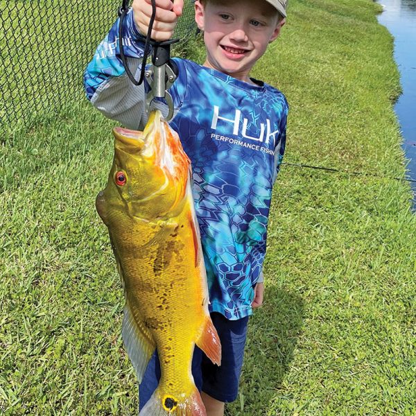 Six year old Michael Stevens scored a stud peacock bass on a live shiner.