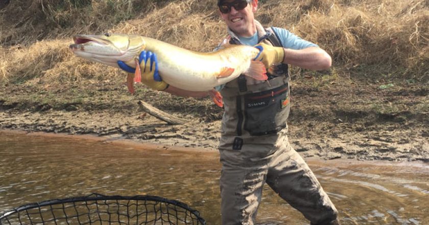 The Fish Of 10,000 Casts - the Mighty Musky