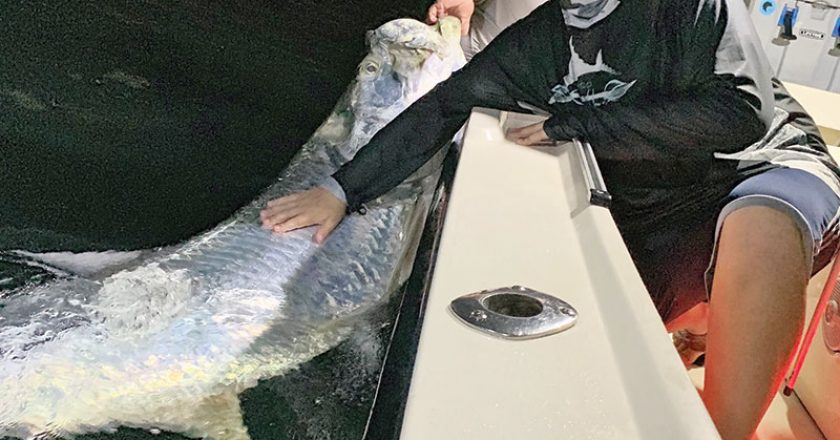 Reed celebrated his 13th birthday with a monster tarpon while fishing with Capt. Fraser Simpson.