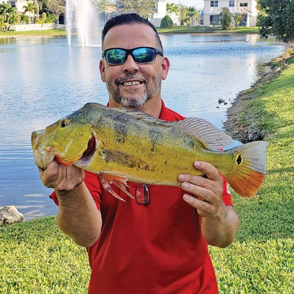 Paul Torres used a topwater lure to fool a nice Pembroke Pines peacock.