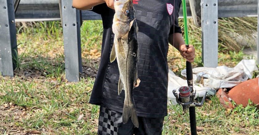 Six year old Sandro caught his personal best freshwater snook on a live shiner.