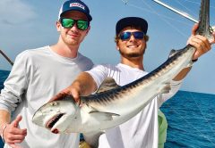 Cool looking tiger shark...