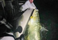 Win Farnsworth with a huge tarpon caught and released with South Florida Fishing Charters.