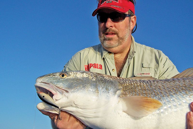Giant redfish are not so uncommon catches for anglers this month.