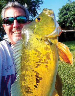 Ross Myers shows off his personal best peacock.