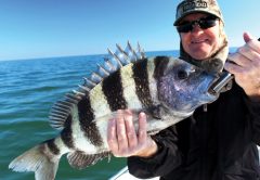 Capt. Dan Clymer Homosassa Report