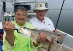 Suwannee River/Cedar Key Report