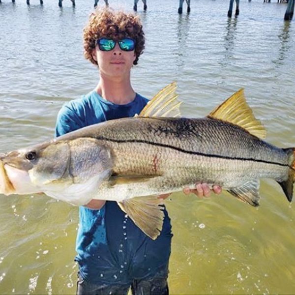 Chris Marconi caught a monster snook!