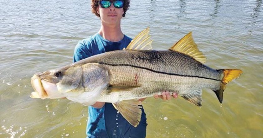 Chris Marconi caught a monster snook!
