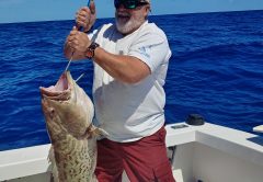 Another quality gag grouper coming over the rails on the Seas Fire.