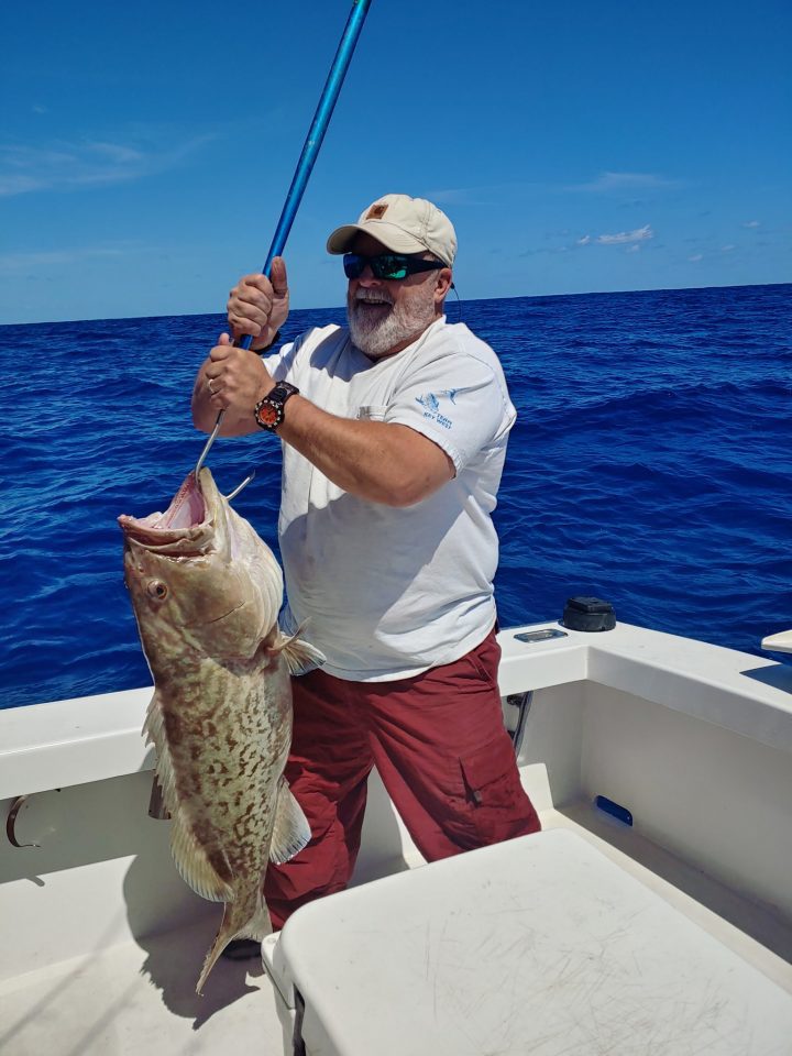 Another quality gag grouper coming over the rails on the Seas Fire.
