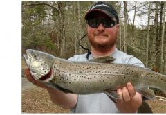 Apalachia: A Unique Trophy Trout Destination