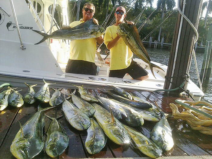 Capt Paul and Chris with a great mahi-mahi haul caught with Fishing Headquarters.