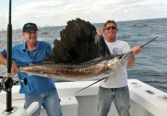 Capt Rod and Alan's big sailfish caught with New Lattitude Sportfishing.