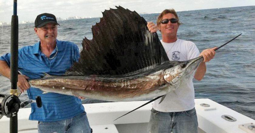 Capt Rod and Alan's big sailfish caught with New Lattitude Sportfishing.