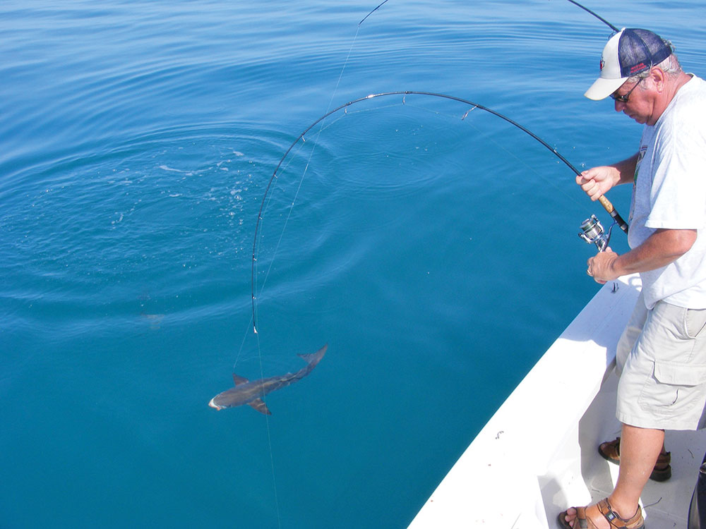 Catching Winter Cobia in the Keys - Coastal Angler & The Angler Magazine