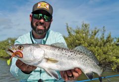 Mosquito Lagoon Speckled Sea Trout