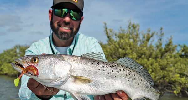 Mosquito Lagoon Speckled Sea Trout