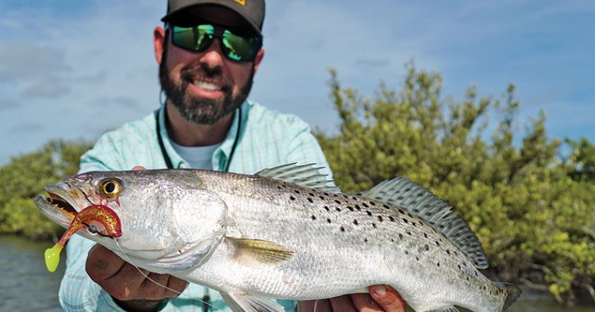 Mosquito Lagoon Speckled Sea Trout