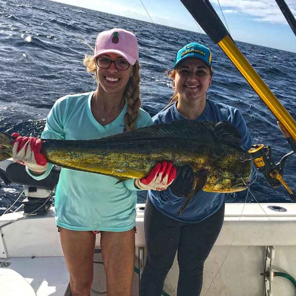 treasure-coast-mahi