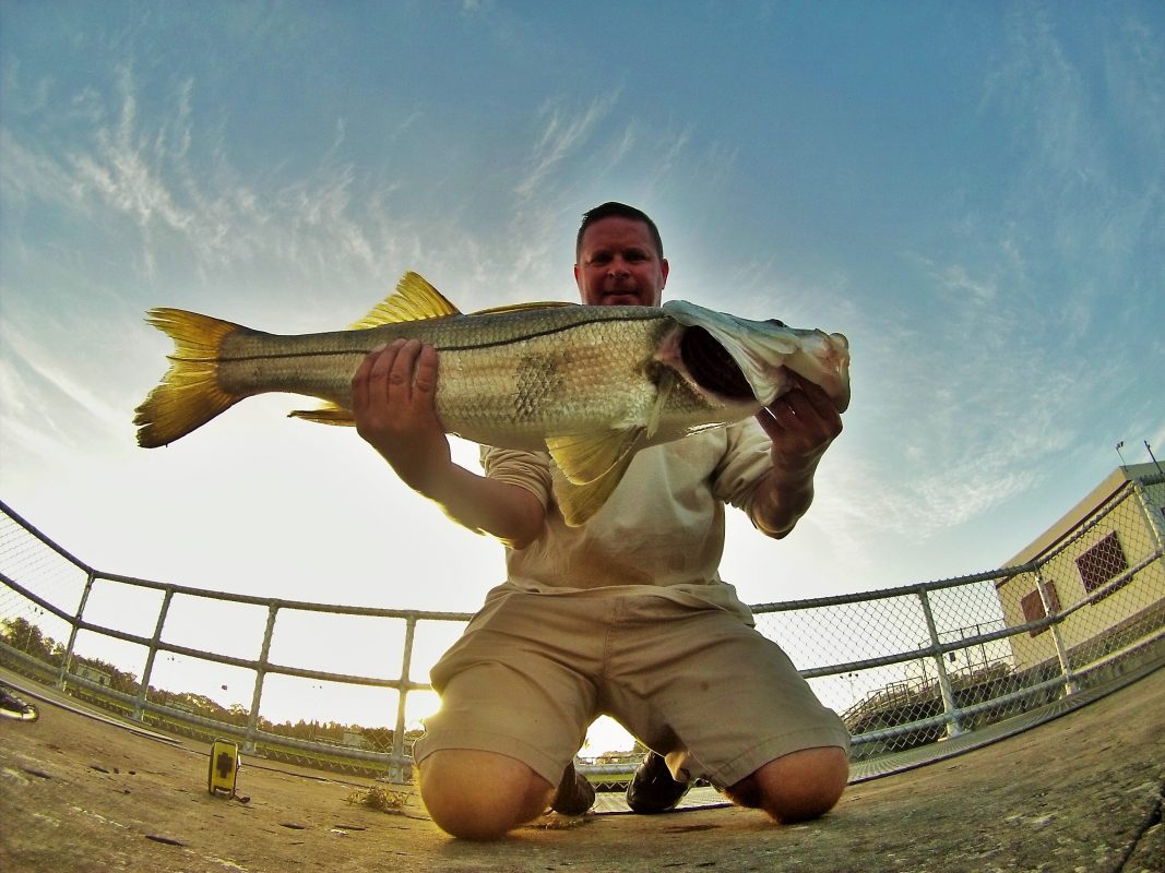 Stuart Florida Best Snook Fishing in the World Coastal Angler & The