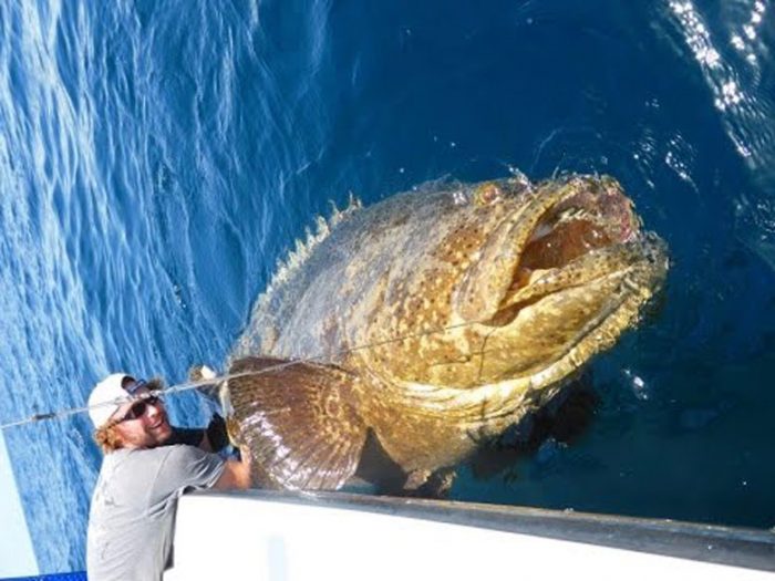 Fishing in the Fort Myers Area