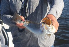 Winter Time at its best