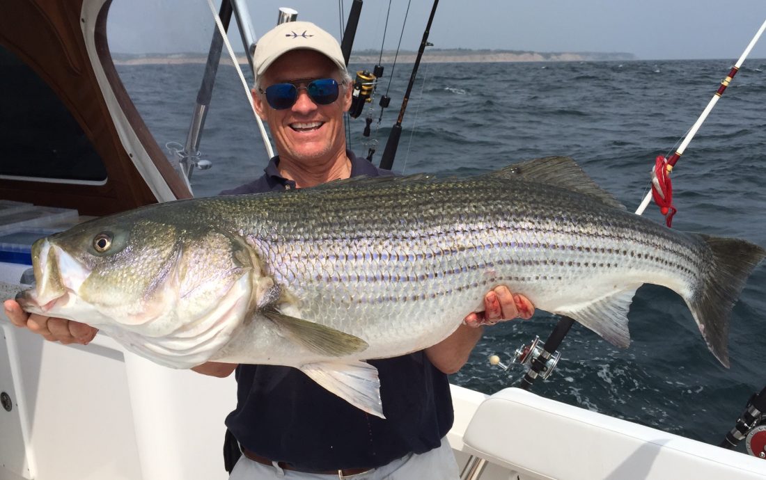 Striped Bass Coastal Angler & The Angler Magazine