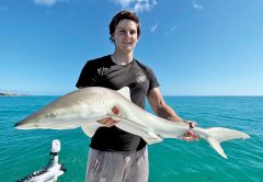 Evan caught this nice shark off the beach!