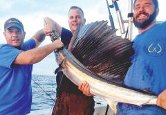 Team Nice Racks with a late afternoon sailfish.